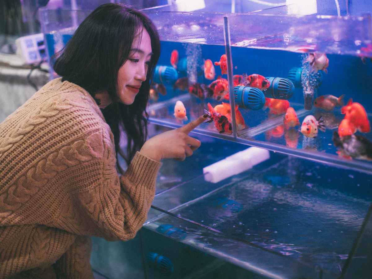 Unveiling the Wonders of Aquascaping: Crafting Living Art in Your&nbsp;Aquarium